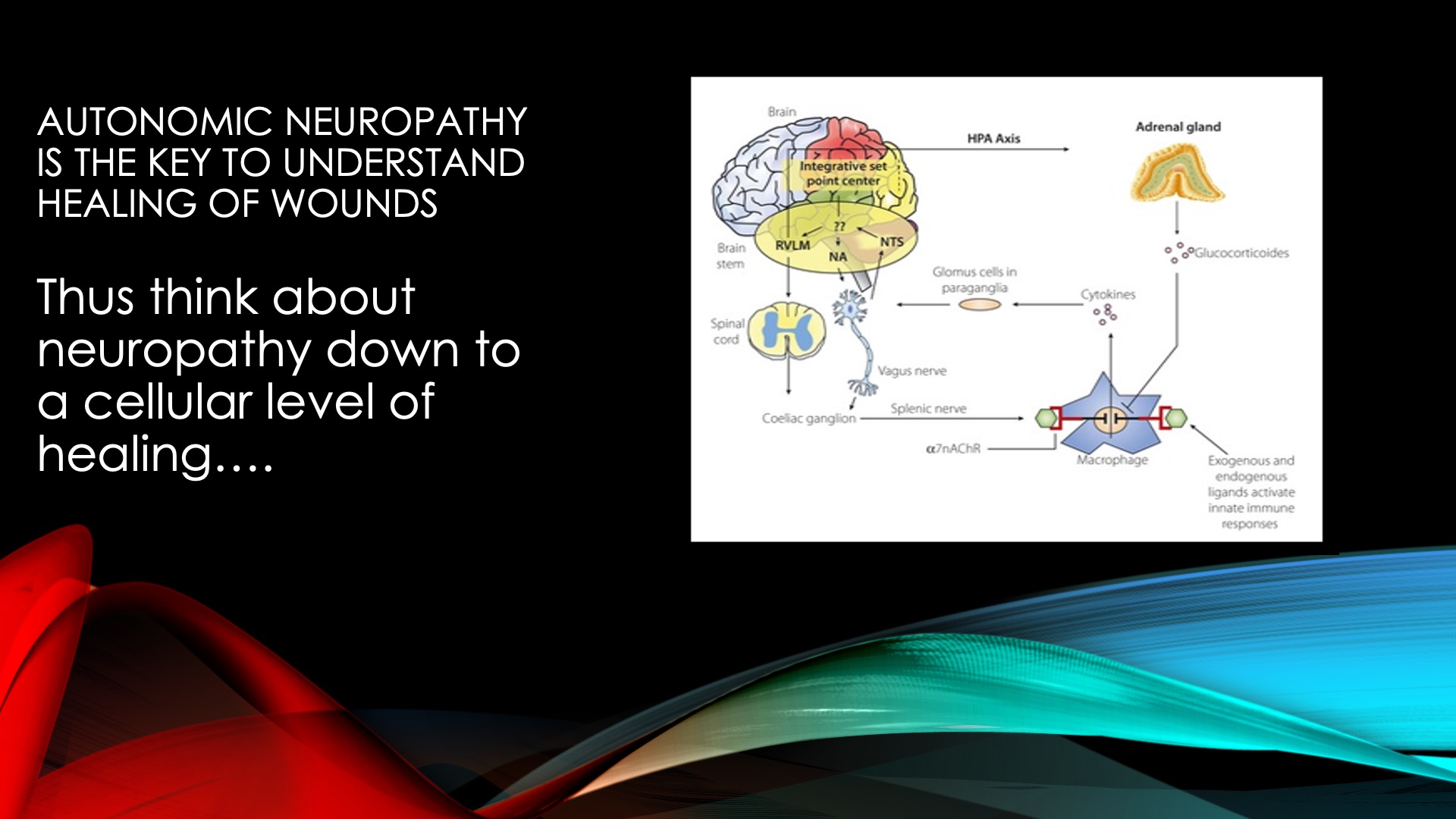 This Just In Neuropathy Clinical Concerns And Treatment Options